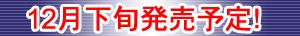 12月下旬発売予定